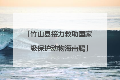 竹山县接力救助国家一级保护动物海南鳽
