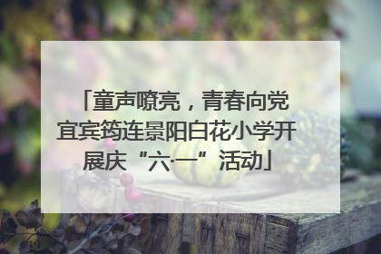 童声嘹亮，青春向党 宜宾筠连景阳白花小学开展庆“六·一”活动