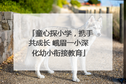 童心探小学，携手共成长 峨眉一小深化幼小衔接教育