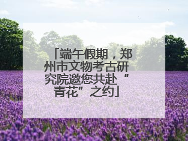 端午假期，郑州市文物考古研究院邀您共赴“青花”之约