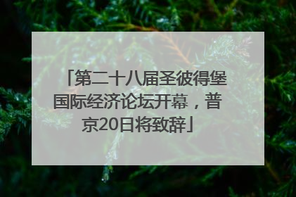 第二十八届圣彼得堡国际经济论坛开幕，普京20日将致辞