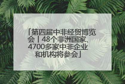 第四届中非经贸博览会丨48个非洲国家、4700多家中非企业和机构将参会