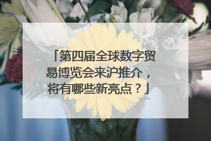 第四届全球数字贸易博览会来沪推介，将有哪些新亮点？