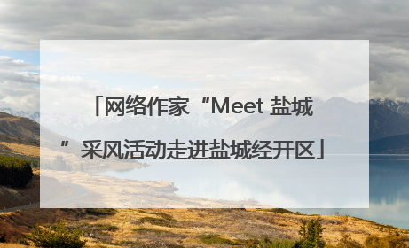 网络作家“Meet 盐城”采风活动走进盐城经开区