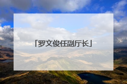 罗文俊任副厅长