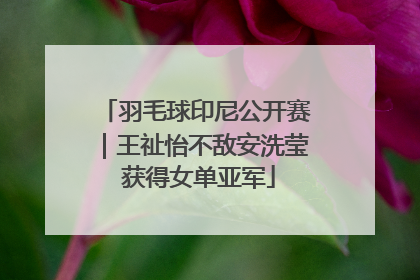羽毛球印尼公开赛｜王祉怡不敌安洗莹 获得女单亚军
