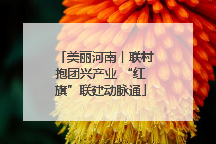美丽河南丨联村抱团兴产业 “红旗”联建动脉通
