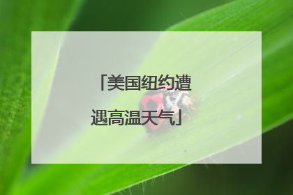 美国纽约遭遇高温天气