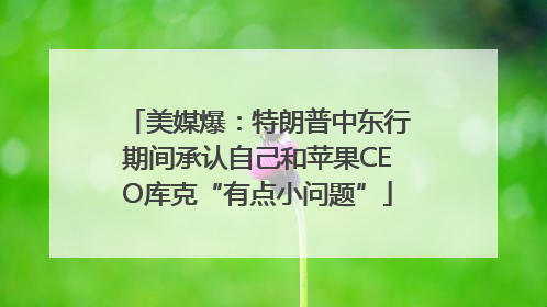 美媒爆：特朗普中东行期间承认自己和苹果CEO库克“有点小问题”