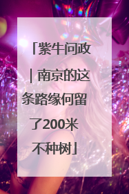 紫牛问政｜南京的这条路缘何留了200米不种树