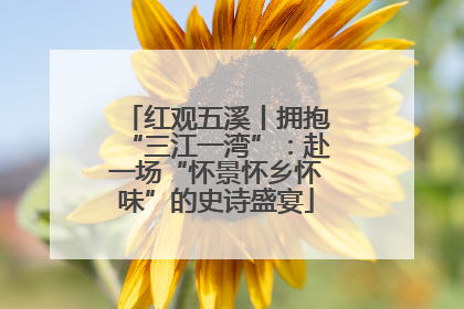 红观五溪丨拥抱“三江一湾”：赴一场“怀景怀乡怀味”的史诗盛宴