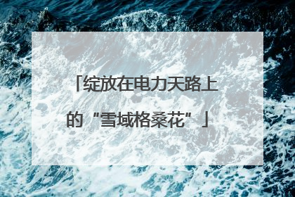 绽放在电力天路上的“雪域格桑花”