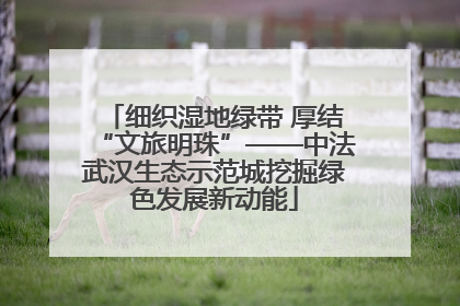 细织湿地绿带 厚结“文旅明珠”——中法武汉生态示范城挖掘绿色发展新动能
