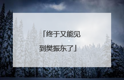 终于又能见到樊振东了