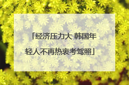 经济压力大 韩国年轻人不再热衷考驾照