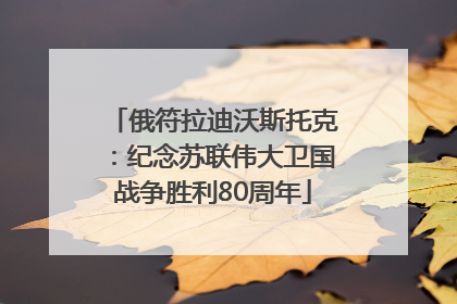 俄符拉迪沃斯托克：纪念苏联伟大卫国战争胜利80周年