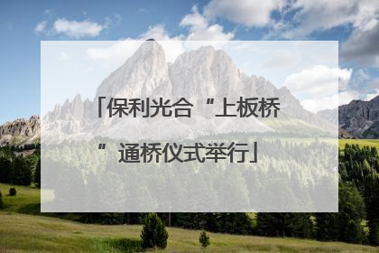 保利光合“上板桥”通桥仪式举行