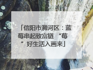 信阳市浉河区：蓝莓串起致富链 “莓”好生活入画来