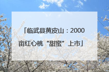 临武县黄皮山：2000亩红心桃“甜蜜”上市