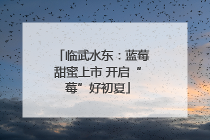 临武水东：蓝莓甜蜜上市 开启“莓”好初夏