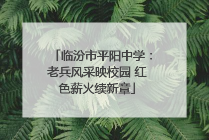 临汾市平阳中学：老兵风采映校园 红色薪火续新章