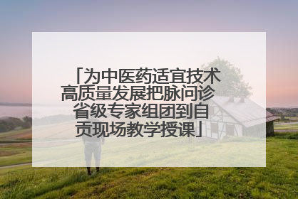 为中医药适宜技术高质量发展把脉问诊 省级专家组团到自贡现场教学授课