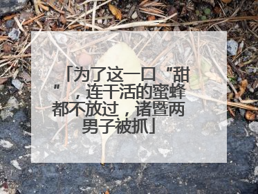 为了这一口“甜”，连干活的蜜蜂都不放过，诸暨两男子被抓