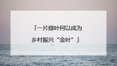 一片绿叶何以成为乡村振兴“金叶”