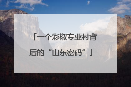 一个彩椒专业村背后的“山东密码”