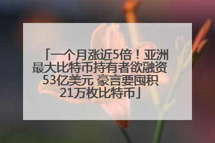 一个月涨近5倍！亚洲最大比特币持有者欲融资53亿美元 豪言要囤积21万枚比特币