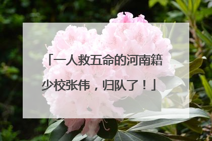 一人救五命的河南籍少校张伟，归队了！