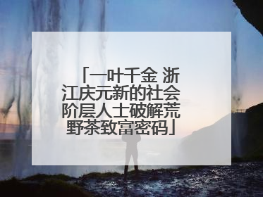 一叶千金 浙江庆元新的社会阶层人士破解荒野茶致富密码