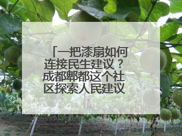 一把漆扇如何连接民生建议？成都郫都这个社区探索人民建议征集新路径