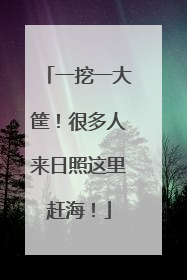 一挖一大筐！很多人来日照这里赶海！