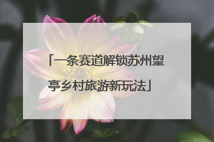 一条赛道解锁苏州望亭乡村旅游新玩法