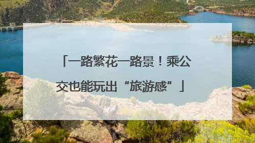 一路繁花一路景！乘公交也能玩出“旅游感”