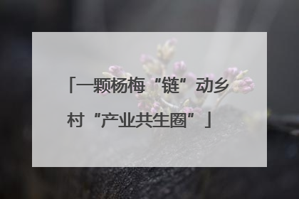 一颗杨梅“链”动乡村“产业共生圈”