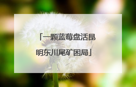 一颗蓝莓盘活昆明东川尾矿困局