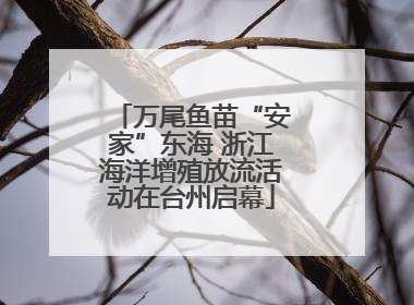 万尾鱼苗“安家”东海 浙江海洋增殖放流活动在台州启幕