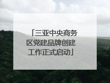 三亚中央商务区党建品牌创建工作正式启动