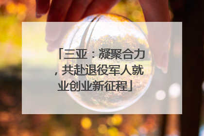 三亚：凝聚合力，共赴退役军人就业创业新征程