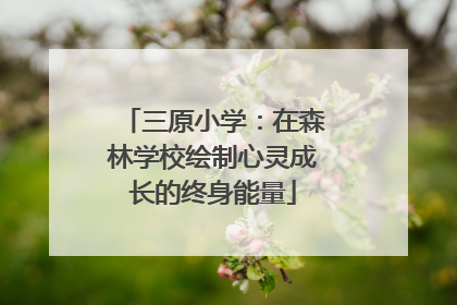 三原小学：在森林学校绘制心灵成长的终身能量