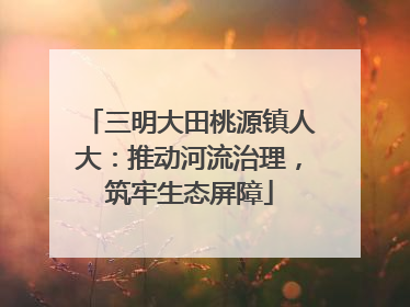 三明大田桃源镇人大：推动河流治理，筑牢生态屏障