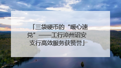三袋硬币的“暖心速兑”——工行漳州诏安支行高效服务获赞誉