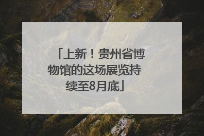上新！贵州省博物馆的这场展览持续至8月底