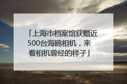 上海市档案馆获赠近500台海鸥相机，来看相机曾经的样子