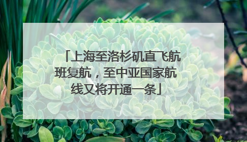 上海至洛杉矶直飞航班复航，至中亚国家航线又将开通一条