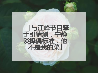 与汪峰节目牵手引猜测，宁静谈择偶标准：他不是我的菜