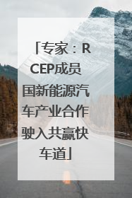 专家：RCEP成员国新能源汽车产业合作驶入共赢快车道