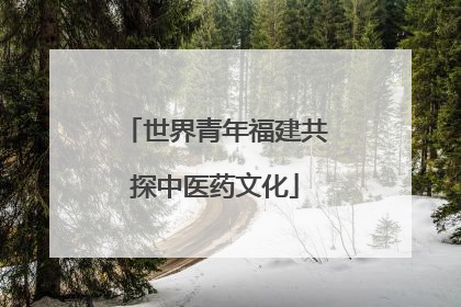 世界青年福建共探中医药文化